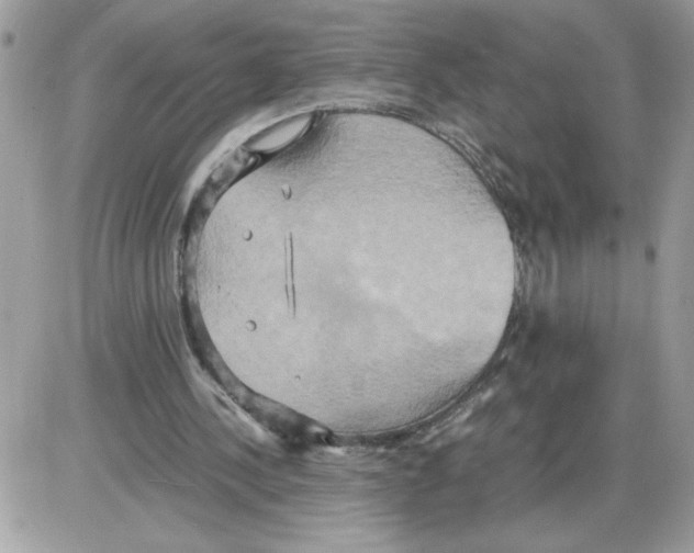 X0000085810244200704131953