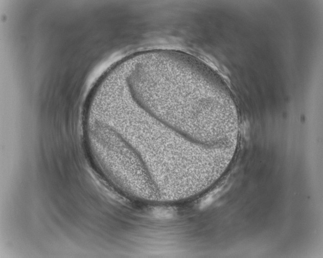 X0000085810248200704131954