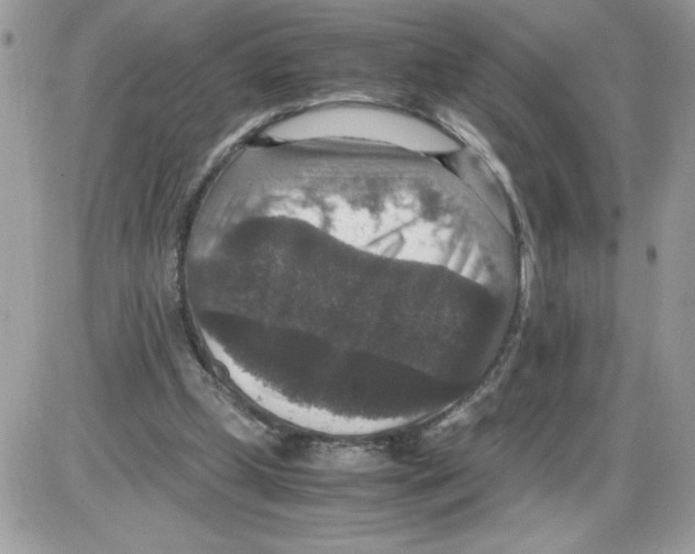 X0000085810249200704131954