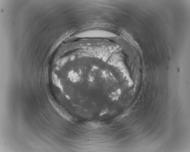 X0000085810250200704131954