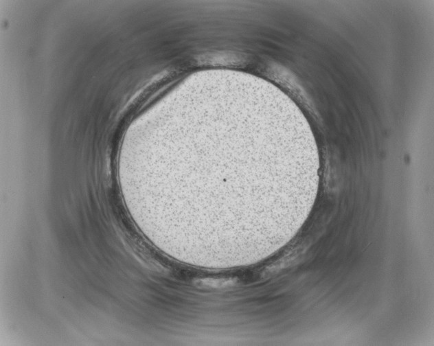 X0000085810251200704131954