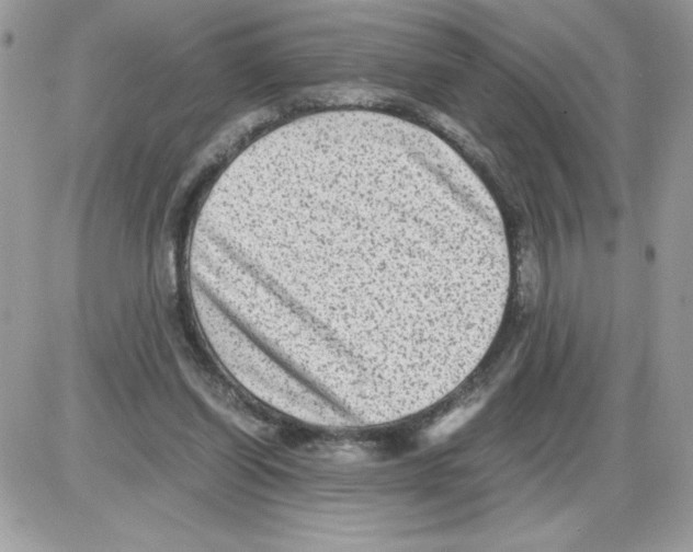 X0000085810254200704131954