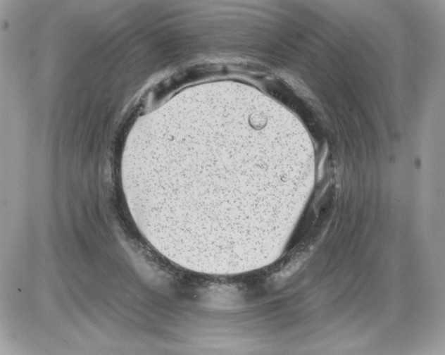 X0000085810256200704131954