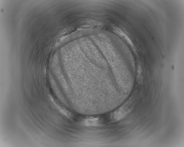 X0000085810257200704131954