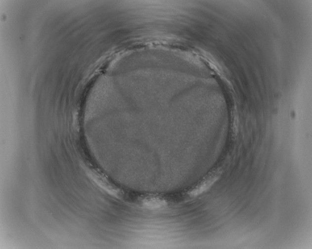 X0000085810258200704131954