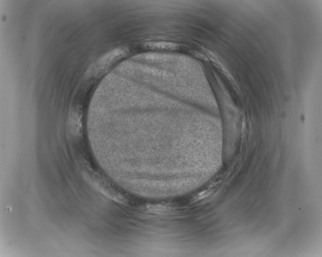 X0000085810259200704131954