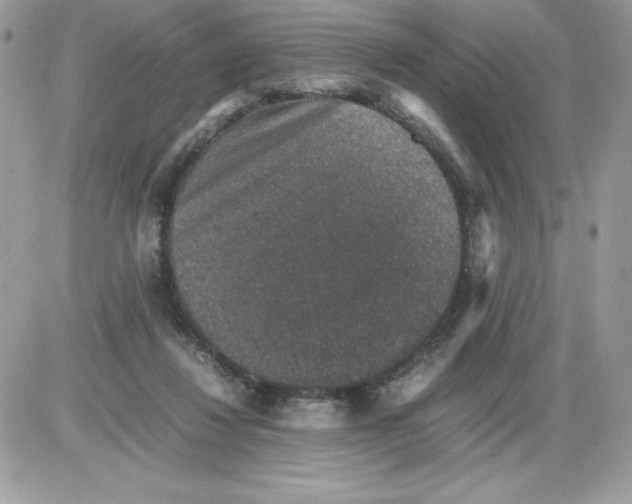 X0000085810260200704131954