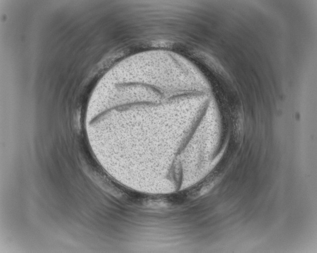 X0000085810262200704131954