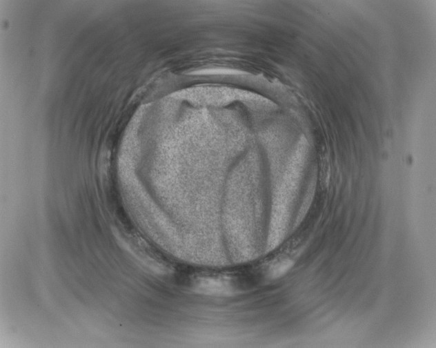 X0000085810263200704131954