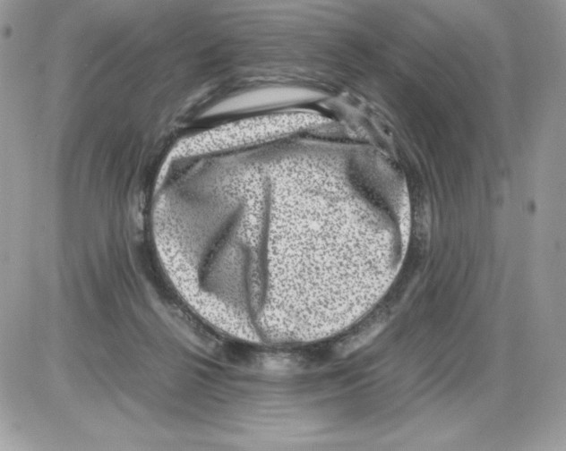 X0000085810264200704131954