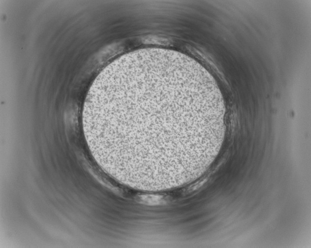 X0000085810265200704131954