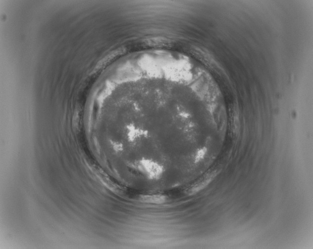 X0000085810266200704131954