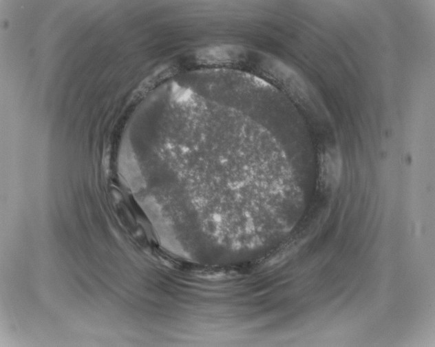 X0000085810267200704131954