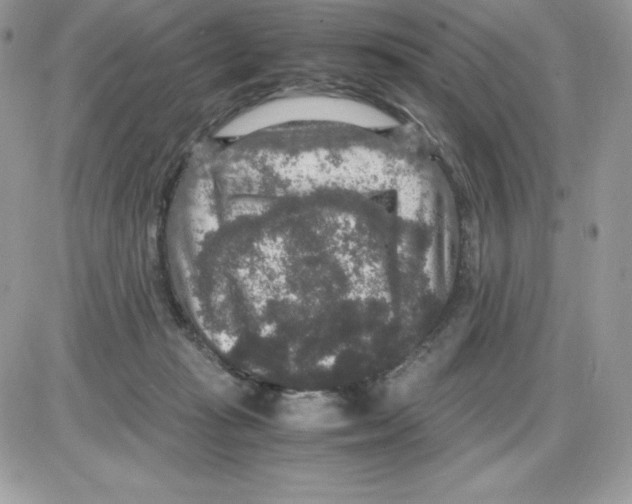 X0000085810269200704131954