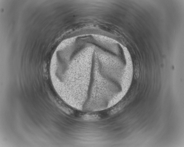 X0000085810270200704131954