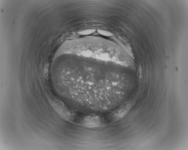 X0000085810271200704131954