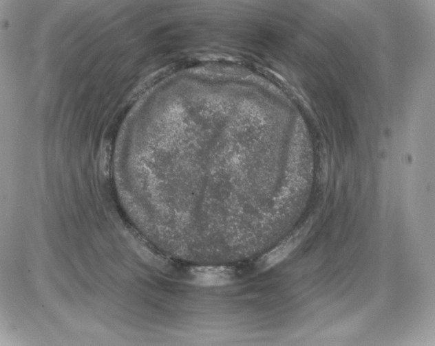 X0000085810273200704131954