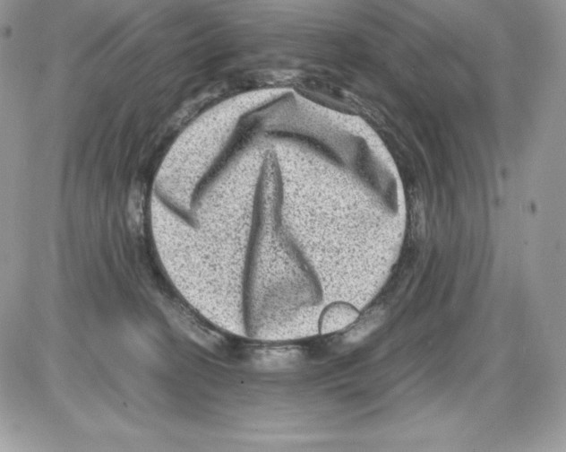 X0000085810274200704131954