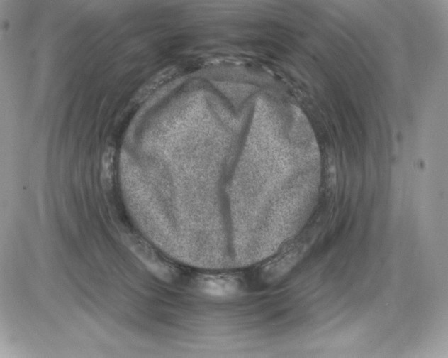 X0000085810275200704131954