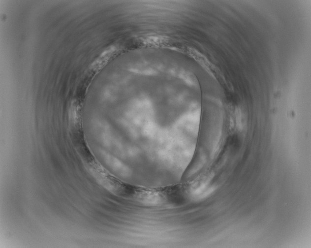 X0000085810276200704131954