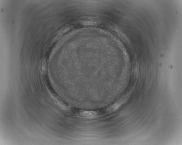 X0000085810277200704131954