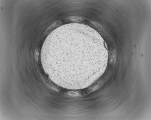 X0000085810279200704131954