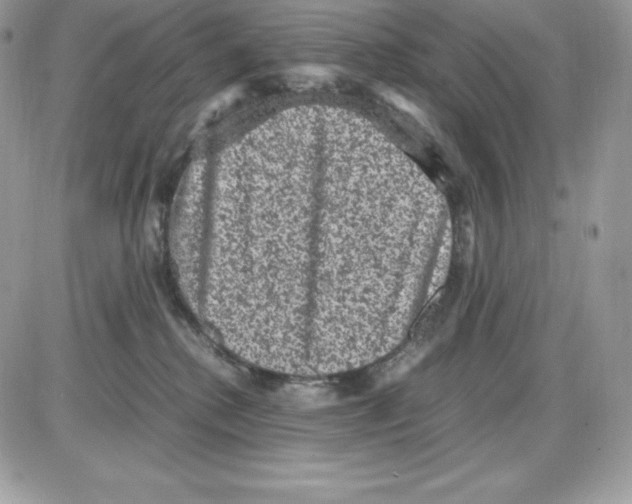 X0000085810280200704131954