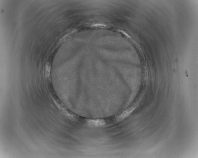 X0000085810281200704131954