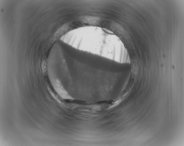 X0000085810285200704131954