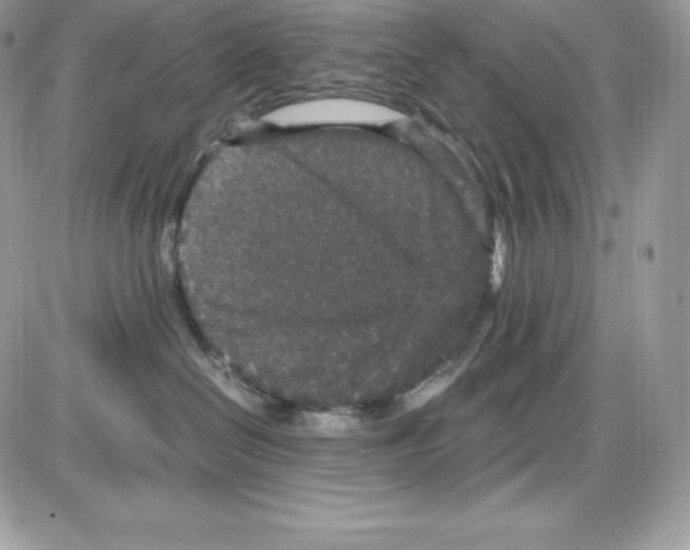 X0000085810286200704131954