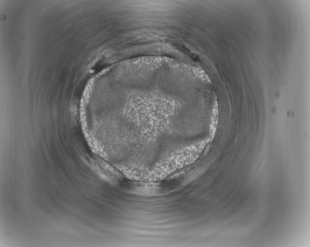 X0000085810288200704131954