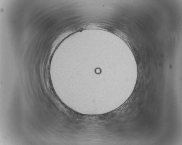 X0000085810289200704131953