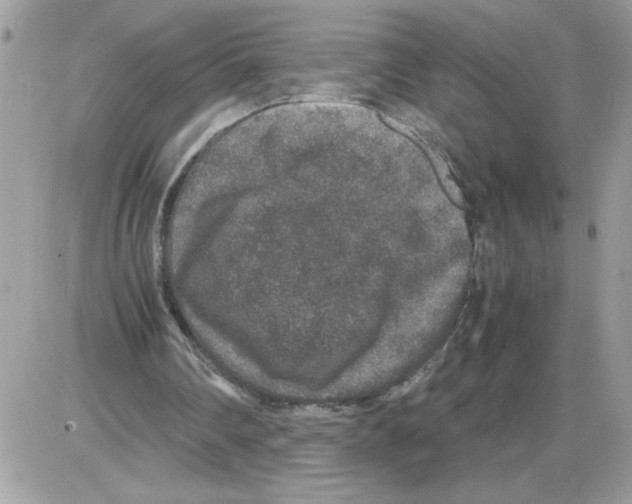 X0000085810290200704131953