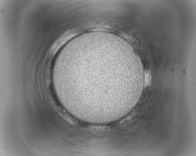 X0000085810291200704131953