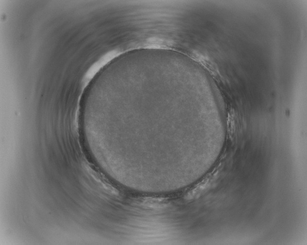 X0000085810292200704131953