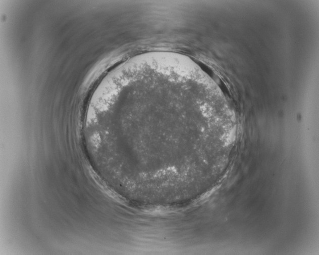 X0000085810293200704131953