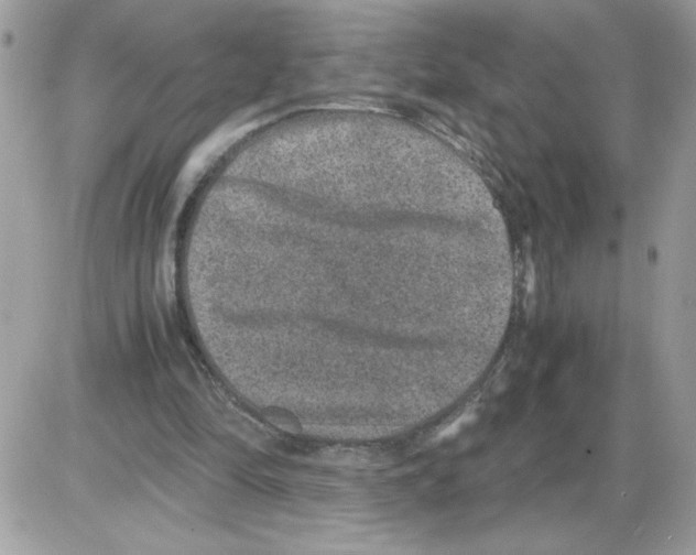 X0000085810294200704131953