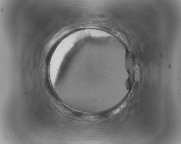 X0000085810295200704131953