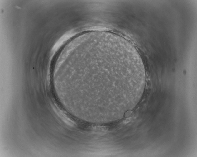 X0000085810296200704131953