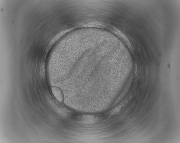 X0000085810298200704131953