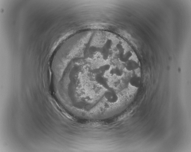 X0000085810299200704131953