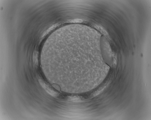 X0000085810300200704131953