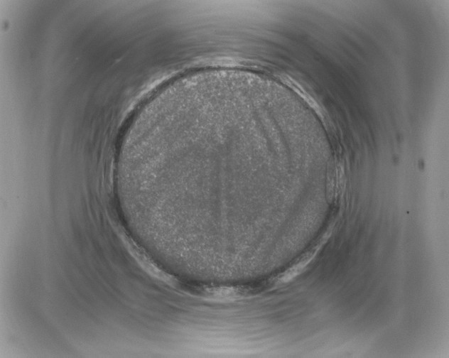 X0000085810301200704131953