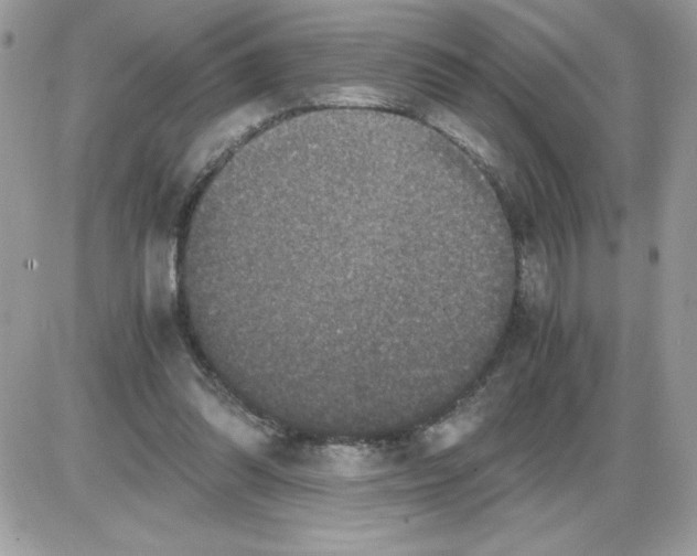 X0000085810302200704131953