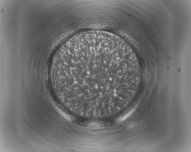 X0000085810303200704131953