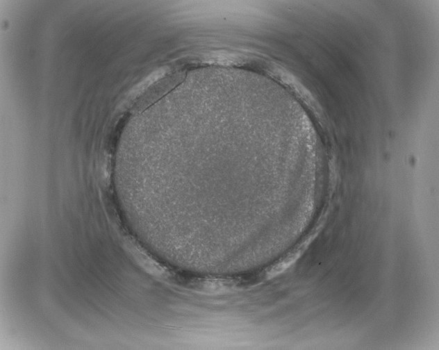 X0000085810305200704131953