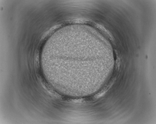 X0000085810306200704131953