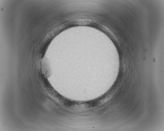 X0000085810307200704131953