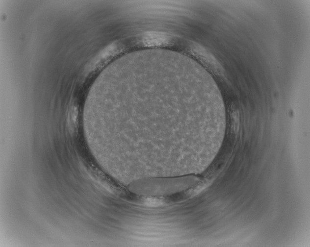 X0000085810308200704131953