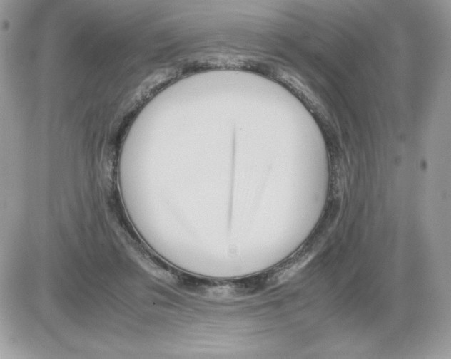 X0000085810309200704131953